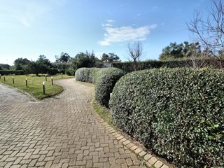 Quadrilocale in Vendita a Pisa, zona Calambrone, 299'000€, 80 m², arredato