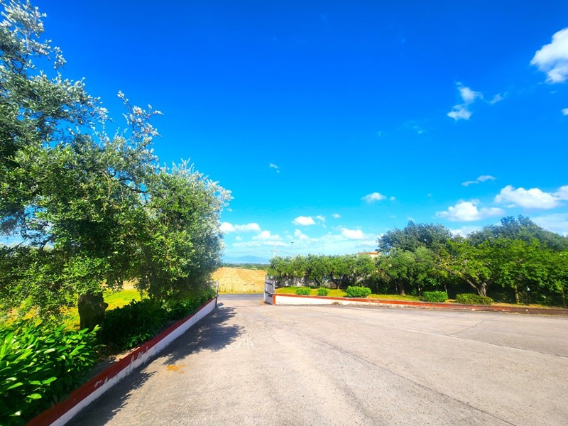 Capannone in Vendita a Roma, 2'100'000&euro;, 2500 m²