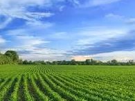 Terreno agricolo in Vendita a Pietrasanta, 60'000€, 3400 m²