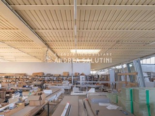 Capannone in Vendita a Calcinaia, 1'800'000€, 3200 m²