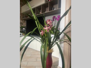 Quadrilocale in Vendita a Massarosa, 138'000€, 79 m², arredato