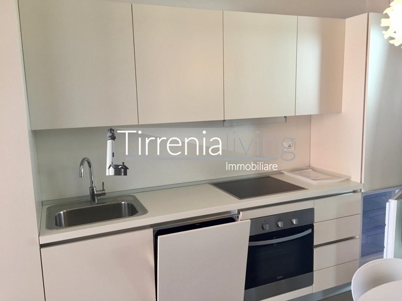 Monolocale in Affitto a Pisa, zona Calambrone, 40 m², arredato