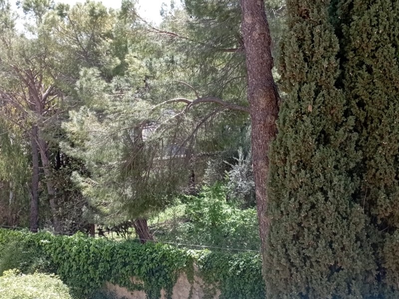 Appartamento in Vendita a Ragusa, 85'000&euro;, 135 m², con Box