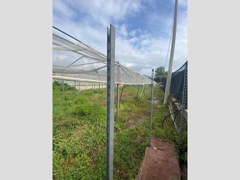 Terreno agricolo in Vendita a Albenga, zona Campochiesa, 80'000€, 1800 m²