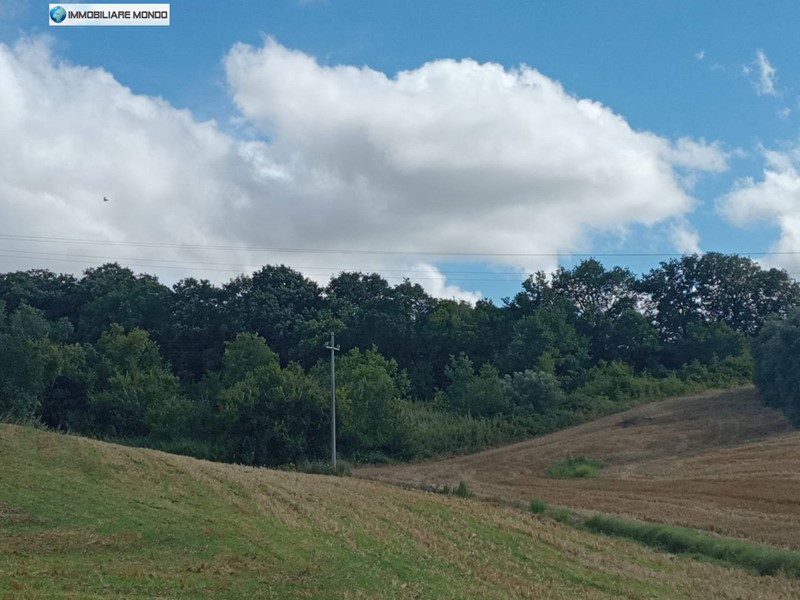 Terreno agricolo in Vendita a Termoli, zona Porticone, 12'000€, 5920 m²
