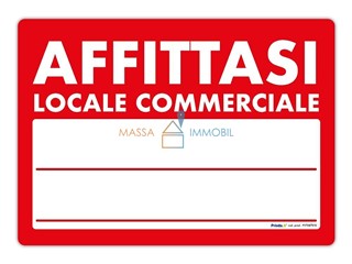 Immobile commerciale in Affitto a Carrara, zona Marina Di Carrara, 1'200€, 60 m²