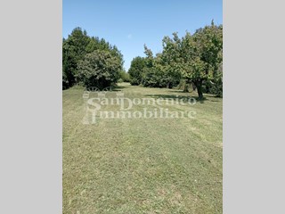 Terreno agricolo in Vendita a Pisa, zona La Vettola, 65'000€, 3650 m²