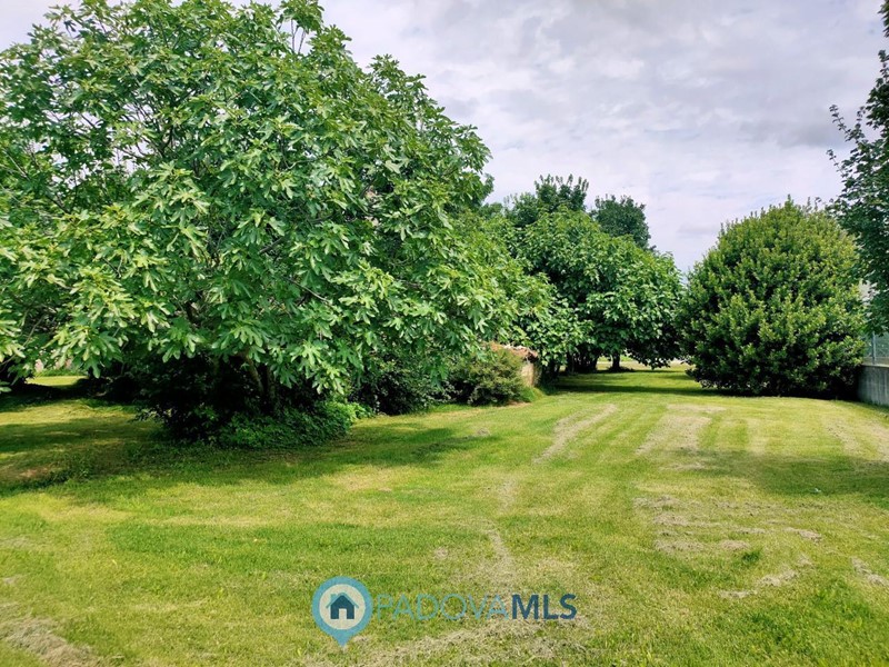 Casa Indipendente in Vendita a Rovolon, 250'000€, 900 m²