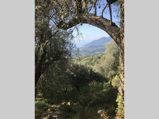 Terreno edificabile in Vendita a Santa Marina, 315'000€, 