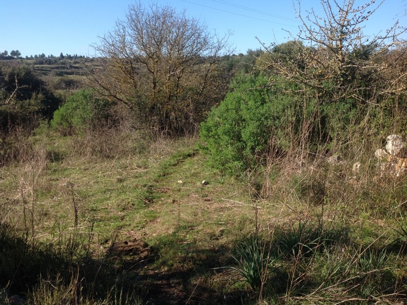 Terreno agricolo in Vendita a Siracusa, zona SPINAGALLO - CUGNI, 9'000€, 3000 m²