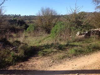Terreno agricolo in Vendita a Siracusa, zona SPINAGALLO - CUGNI, 9'000€, 3000 m²