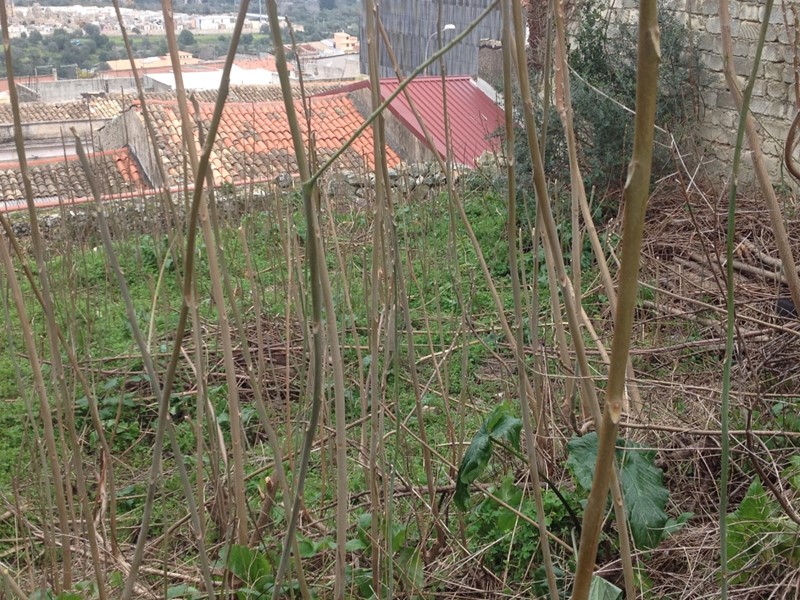 Terreno edificabile in Vendita a Canicattini Bagni, 15'000€, 288 m²