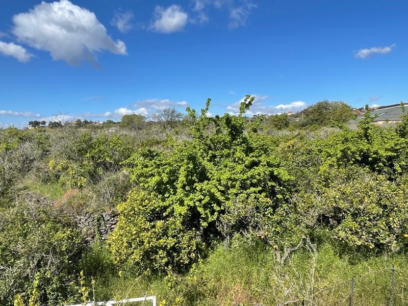 Terreno industriale in Vendita a Mascalucia, 349'000€, 5000 m²