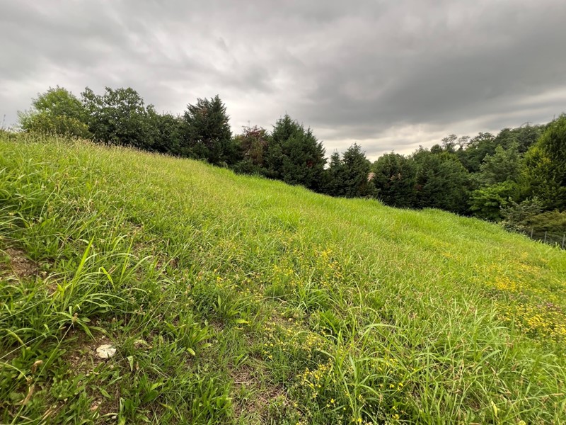 Terreno agricolo in Vendita a Valsamoggia, zona Bazzano, 129'000€, 870 m²