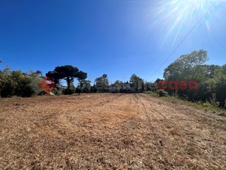 Terreno agricolo in Vendita a Terracina, 29'000€, 2200 m²