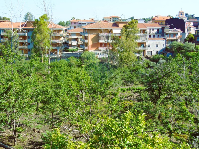 Terreno agricolo in Vendita a Santa Venerina, zona Dagala del Re, 68'000€, 12529 m²