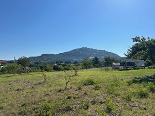 Terreno edificabile in Vendita a Sant'Angelo Romano, 250'000€, 5450 m²