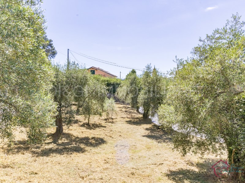 Terreno edificabile in Vendita a Ortovero, 130'000€, 2600 m²