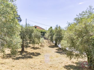 Terreno edificabile in Vendita a Ortovero, 130'000€, 2600 m²