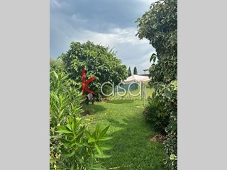 Casa Indipendente in Vendita a Sarego, zona Monticello Di Fara, 144'000€, 158 m², con Box