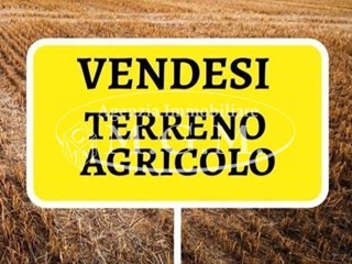 Terreno agricolo in Vendita a Santa Maria a Monte, zona Melone, 15'000€, 10200 m²