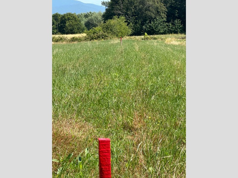 Terreno agricolo in Vendita a Casciana Terme Lari, zona Quattro Strade, 13'000€, 1500 m²