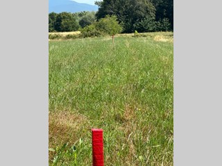 Terreno agricolo in Vendita a Casciana Terme Lari, zona Quattro Strade, 13'000€, 1500 m²