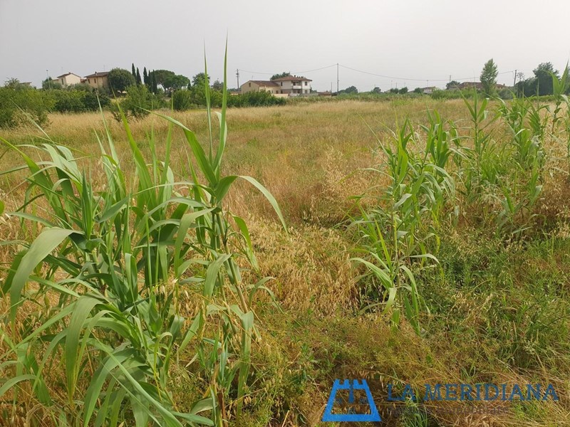 Terreno agricolo in Vendita a Larciano, 7'000€, 1540 m²
