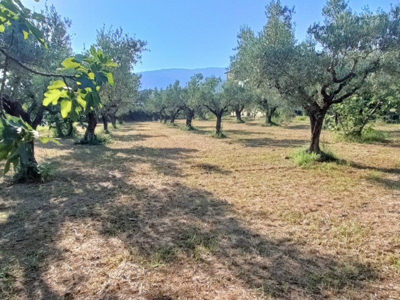 Terreno edificabile in Vendita a Lamezia Terme, 250'000€, 1900 m²