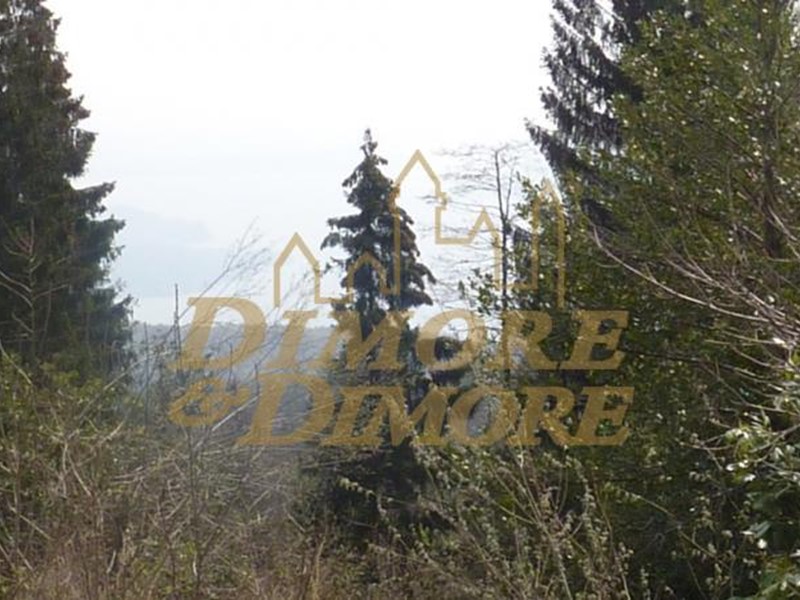 Trilocale in Vendita a Premeno, 135'000&euro;, 80 m²