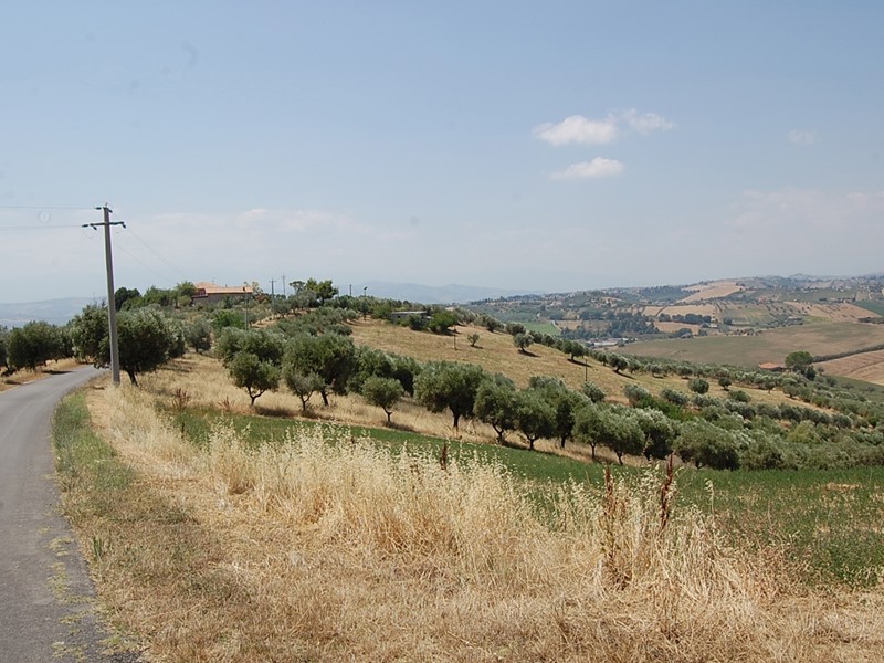 Terreno agricolo in Vendita a Morro d'Oro, 60'000€, 25000 m²