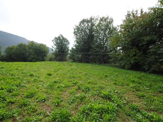 Terreno edificabile in Vendita a Cornedo Vicentino, 55'000€, 1390 m²