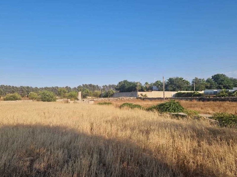 Terreno agricolo in Vendita a Monopoli, zona PERIFERIA NORD, 25'000€, 2000 m²
