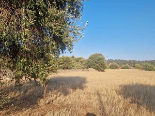 Terreno agricolo in Vendita a Monopoli, zona PERIFERIA NORD, 25'000€, 2000 m²