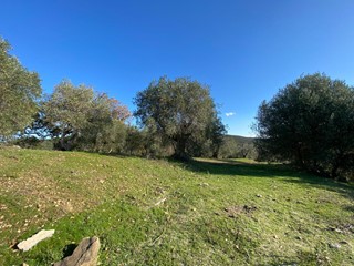 Terreno agricolo in Vendita a Piombino, zona Riotorto, 105'000&euro;, 17445 m²