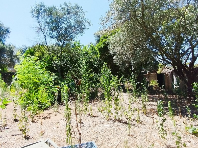 Casa Indipendente in Vendita a Aprilia, 46'000€, 1000 m²