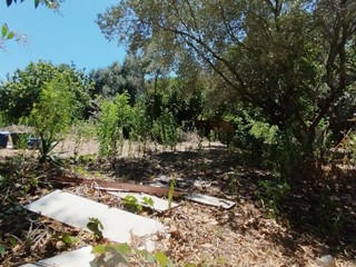 Casa Indipendente in Vendita a Aprilia, 46'000€, 1000 m²