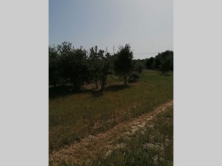 Terreno agricolo in Vendita a Elmas, zona Is Cabbois, 30'000€, 3111 m²