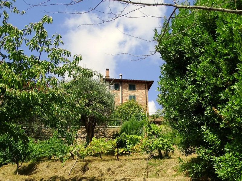 Villa in Vendita a Montopoli in Val d'Arno, zona Marti, 830'000€, 388 m²