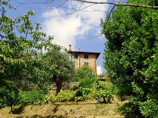 Villa in Vendita a Montopoli in Val d'Arno, zona Marti, 830'000€, 388 m²