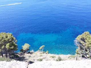 Terreno agricolo in Vendita a Montecorice, 200'000€, 10000 m²