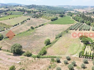 Terreno agricolo in Vendita a Siena, 250'000€, 60000 m²