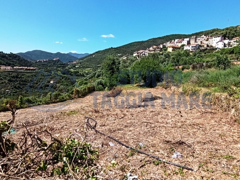 Terreno agricolo in Vendita a Pompeiana, 100'000€, 2500 m²