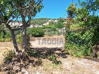 Terreno agricolo in Vendita a Pompeiana, 100'000€, 2500 m²