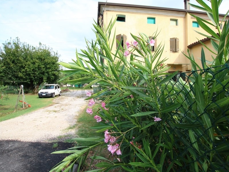 Casa Indipendente in Vendita a Montegaldella, 149'000€, 367 m², con Box