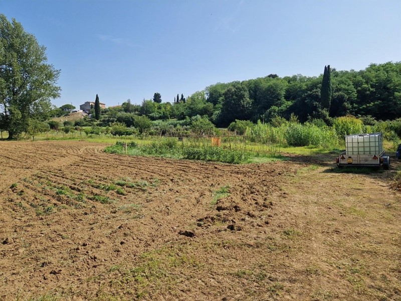 Terreno agricolo in Vendita a Casciana Terme Lari, zona Perignano, 15'000€, 3000 m²