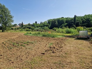 Terreno agricolo in Vendita a Casciana Terme Lari, zona Perignano, 15'000€, 3000 m²