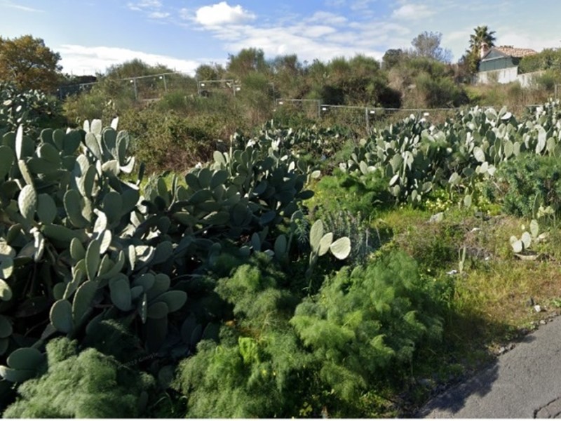 Terreno agricolo in Vendita a Tremestieri Etneo, 14'000€, 1000 m²