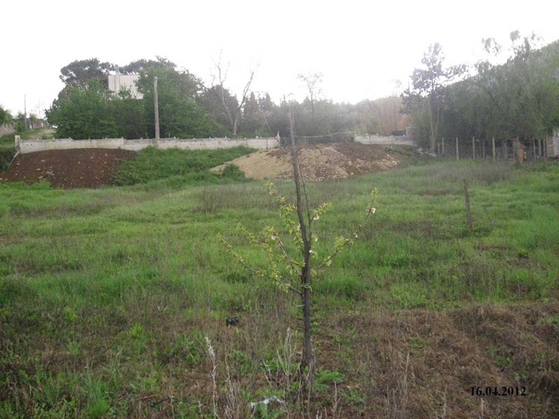 Terreno agricolo in Vendita a Tivoli, 35'000&euro;, 1600 m²