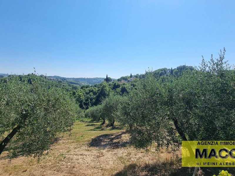 Terreno agricolo in Vendita a Casciana Terme Lari, 15'000€, 4200 m²